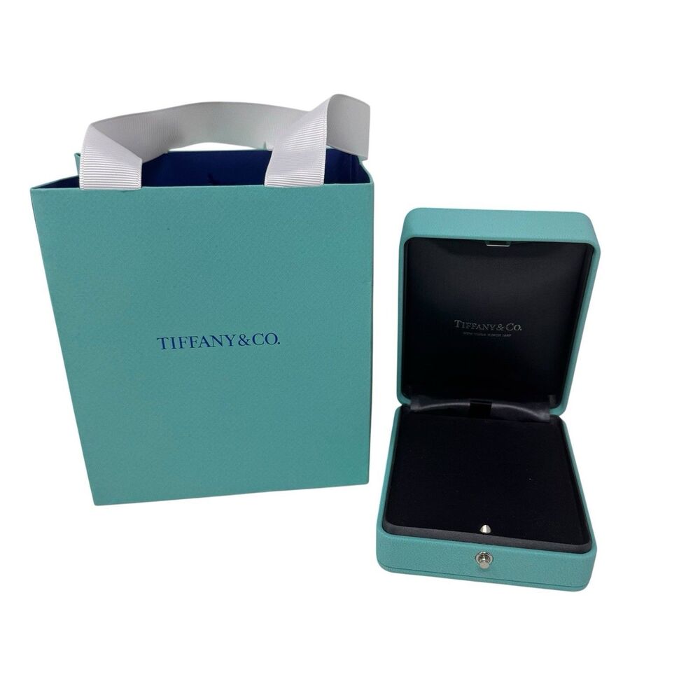 Tiffany & Co. Leather Stamped NECKLACE/BRACELET/BROOCH CASE